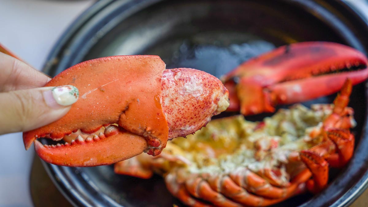 A7_05940.jpg A7_05940.jpg