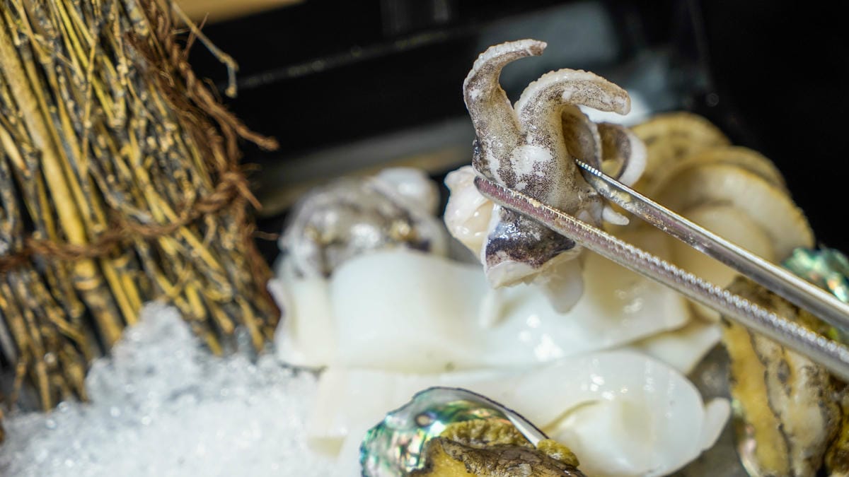 A7_06803.jpg A7_06803.jpg