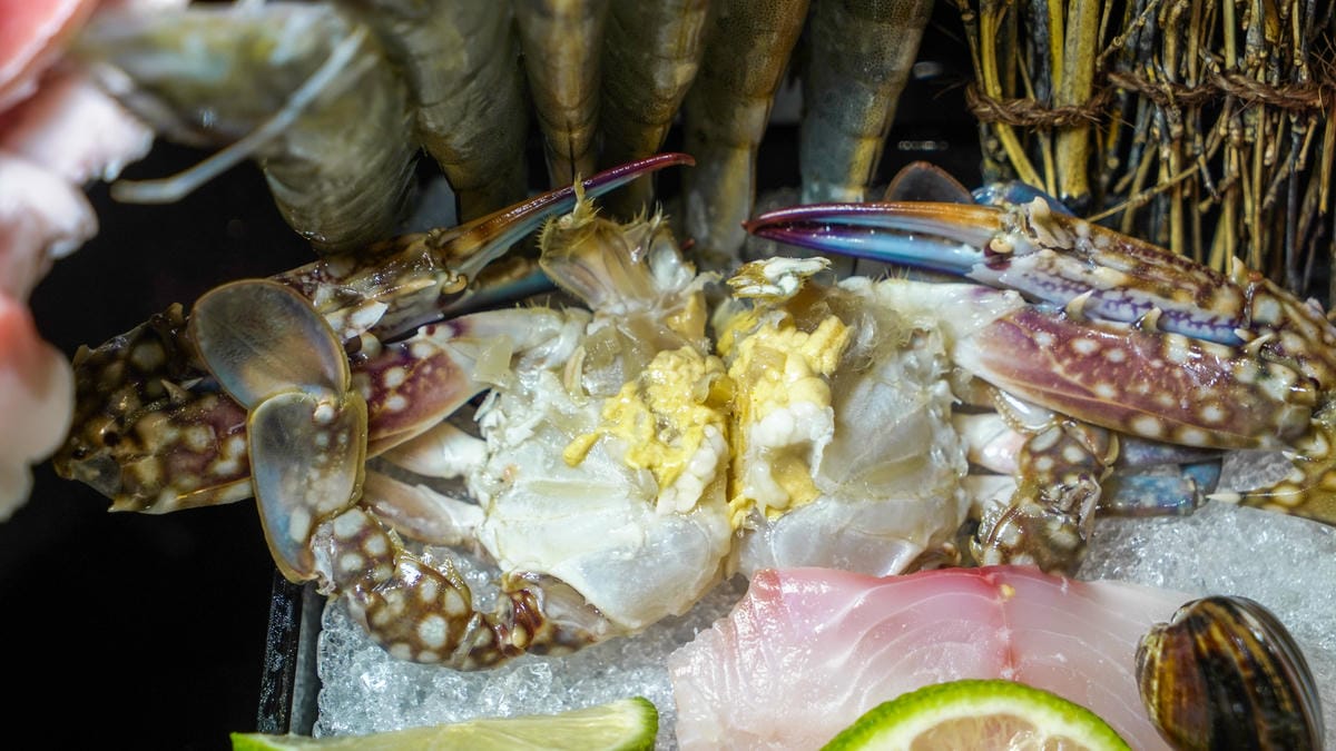 A7_06808.jpg A7_06808.jpg