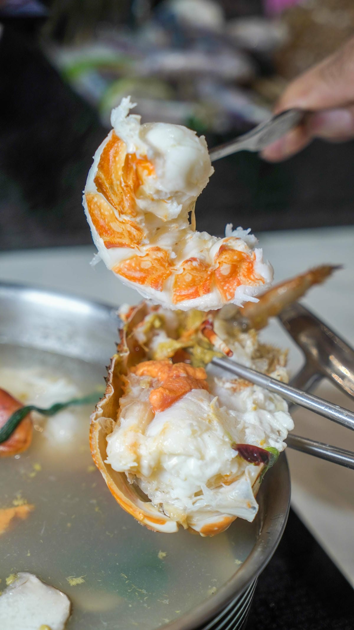 A7_06817.jpg A7_06817.jpg