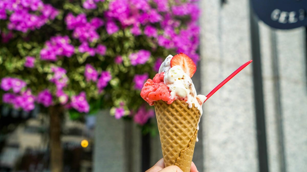 A7_08373.jpg A7_08373.jpg