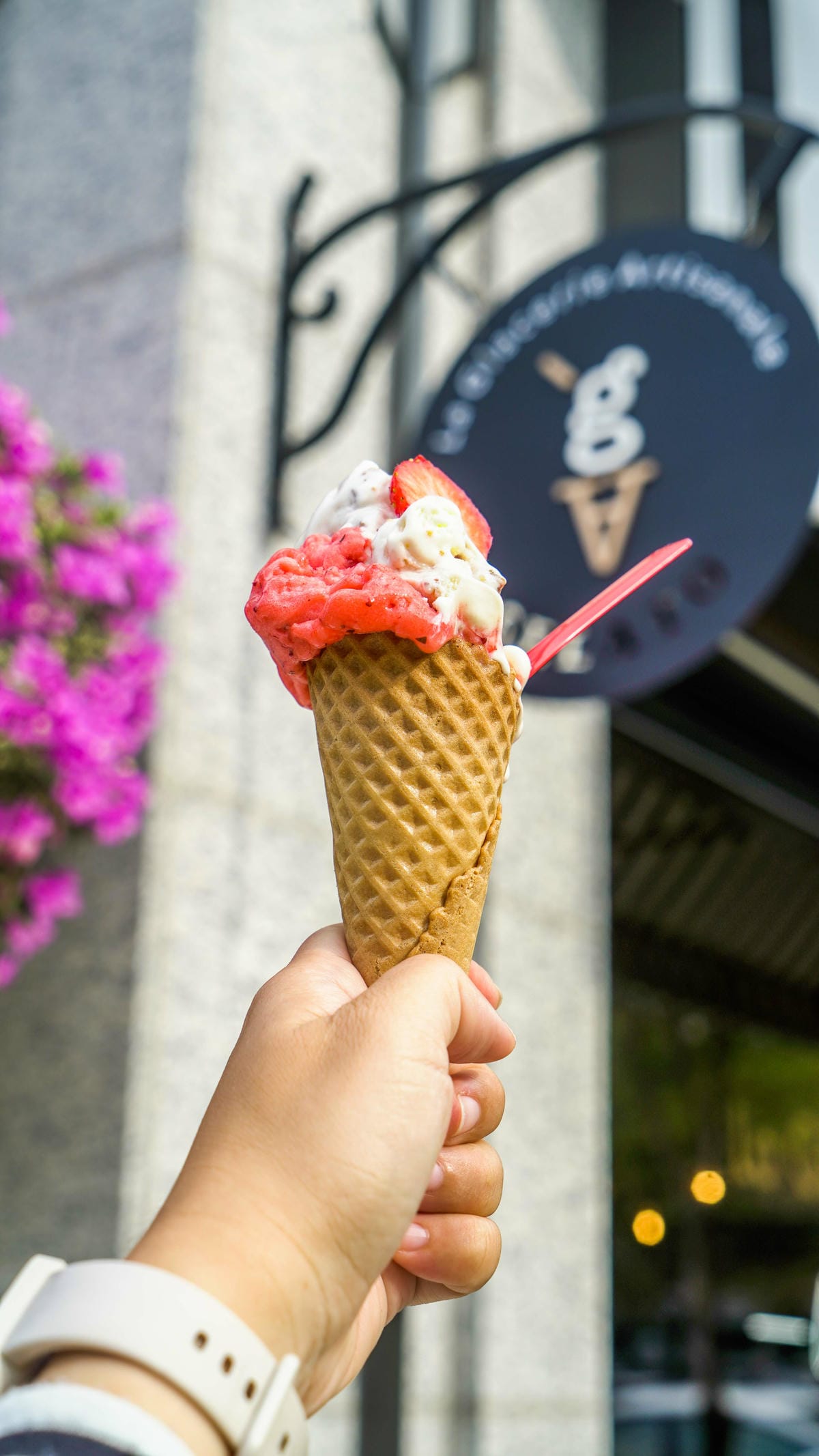 A7_08371.jpg A7_08371.jpg