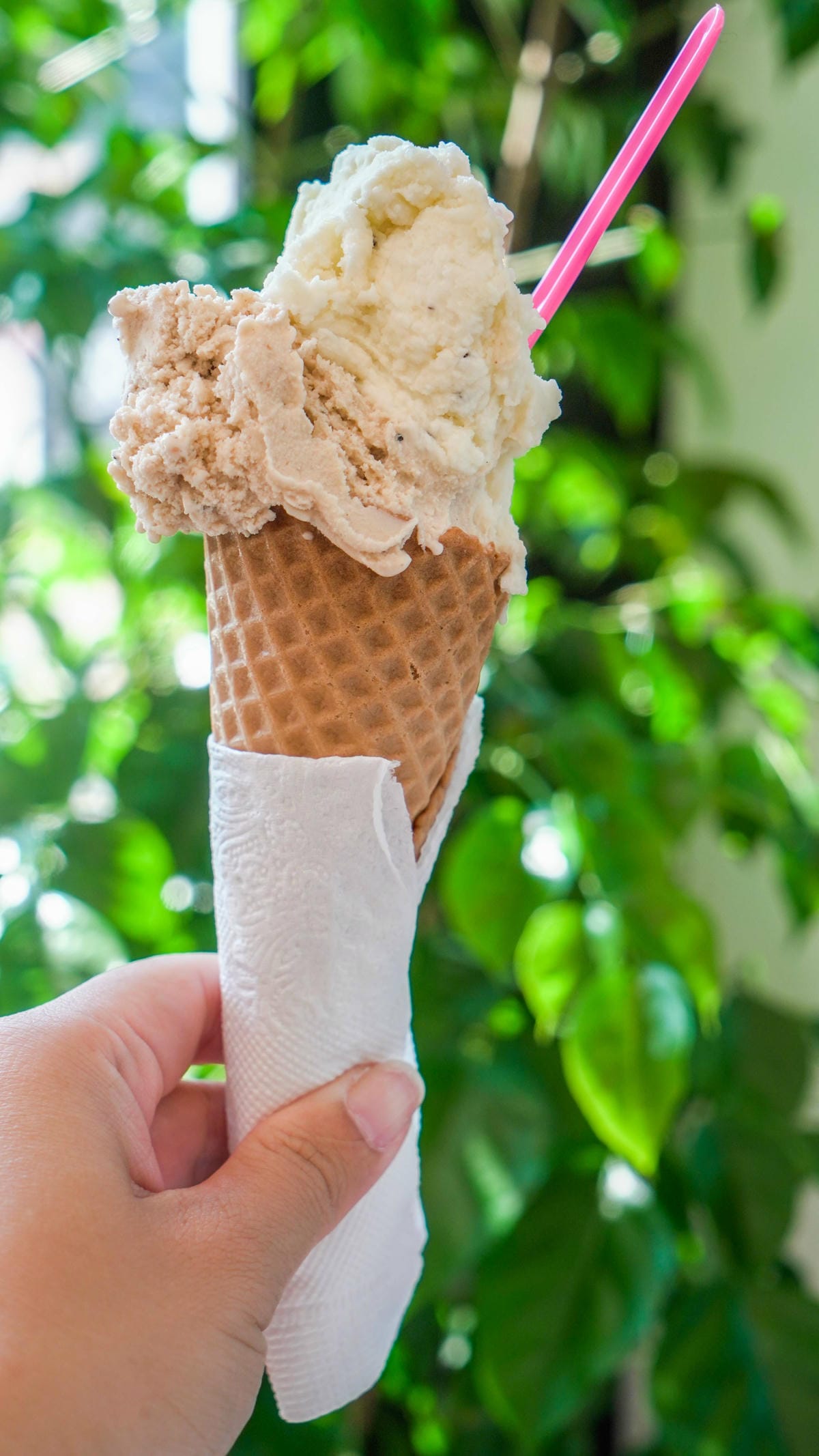 A7_07586.jpg A7_07586.jpg