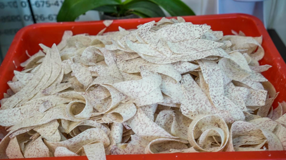 A7_09828.jpg A7_09828.jpg