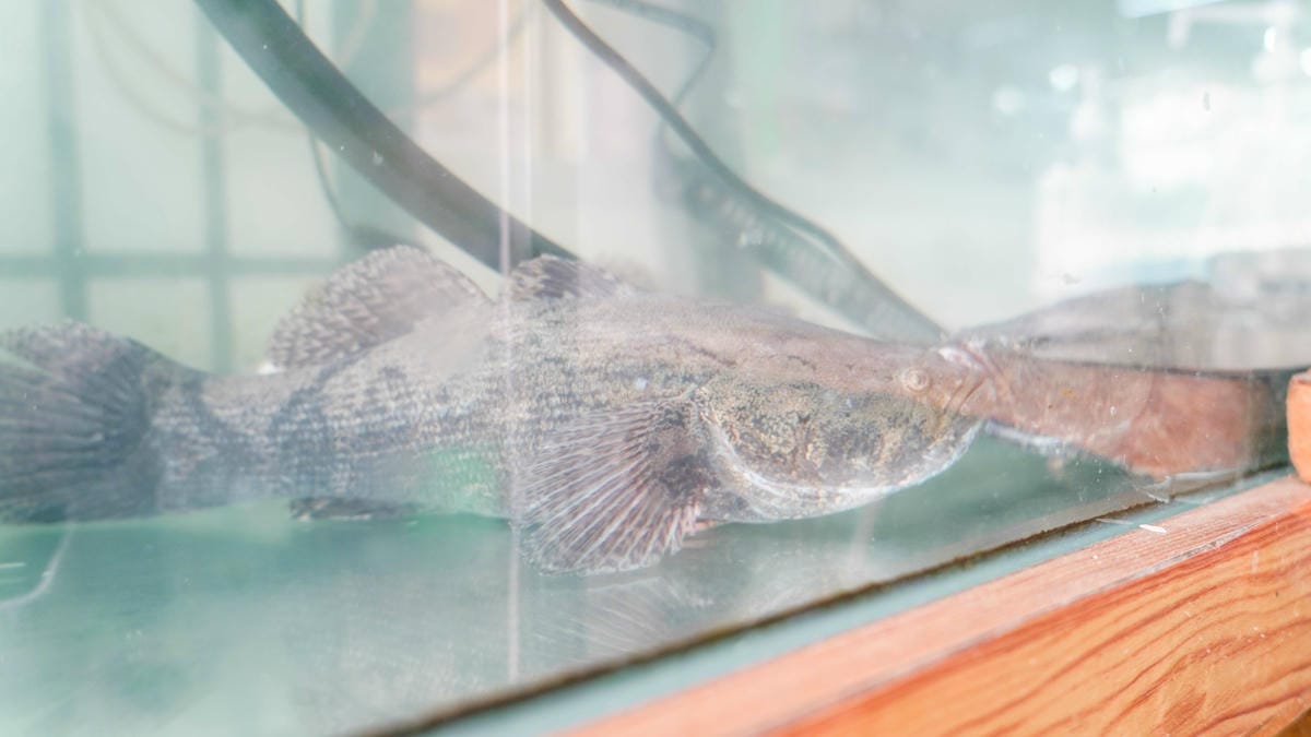 A7_09809.jpg A7_09809.jpg