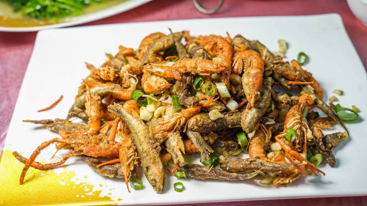 A7_09816.jpg A7_09816.jpg