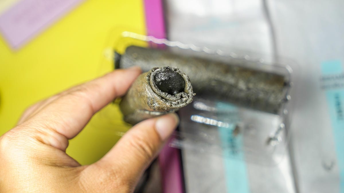 A7_07746.jpg A7_07746.jpg