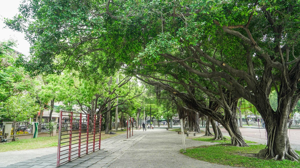 A7_07807.jpg A7_07807.jpg