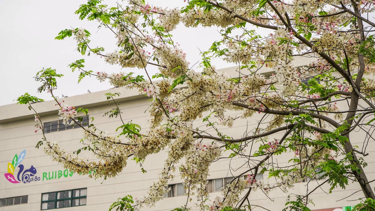 A7_07773.jpg A7_07773.jpg