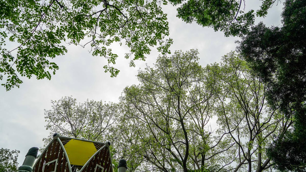 A7_07792.jpg A7_07792.jpg