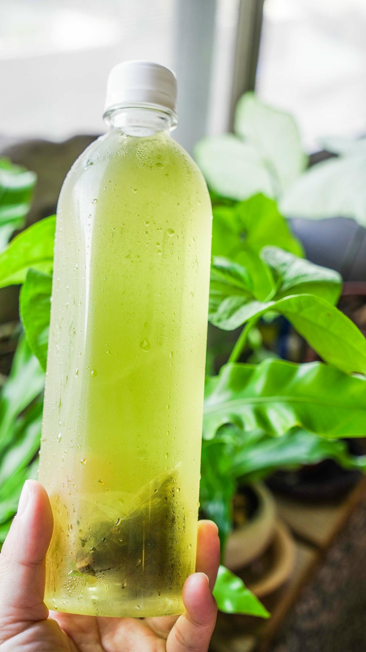 A7_09771.jpg A7_09771.jpg