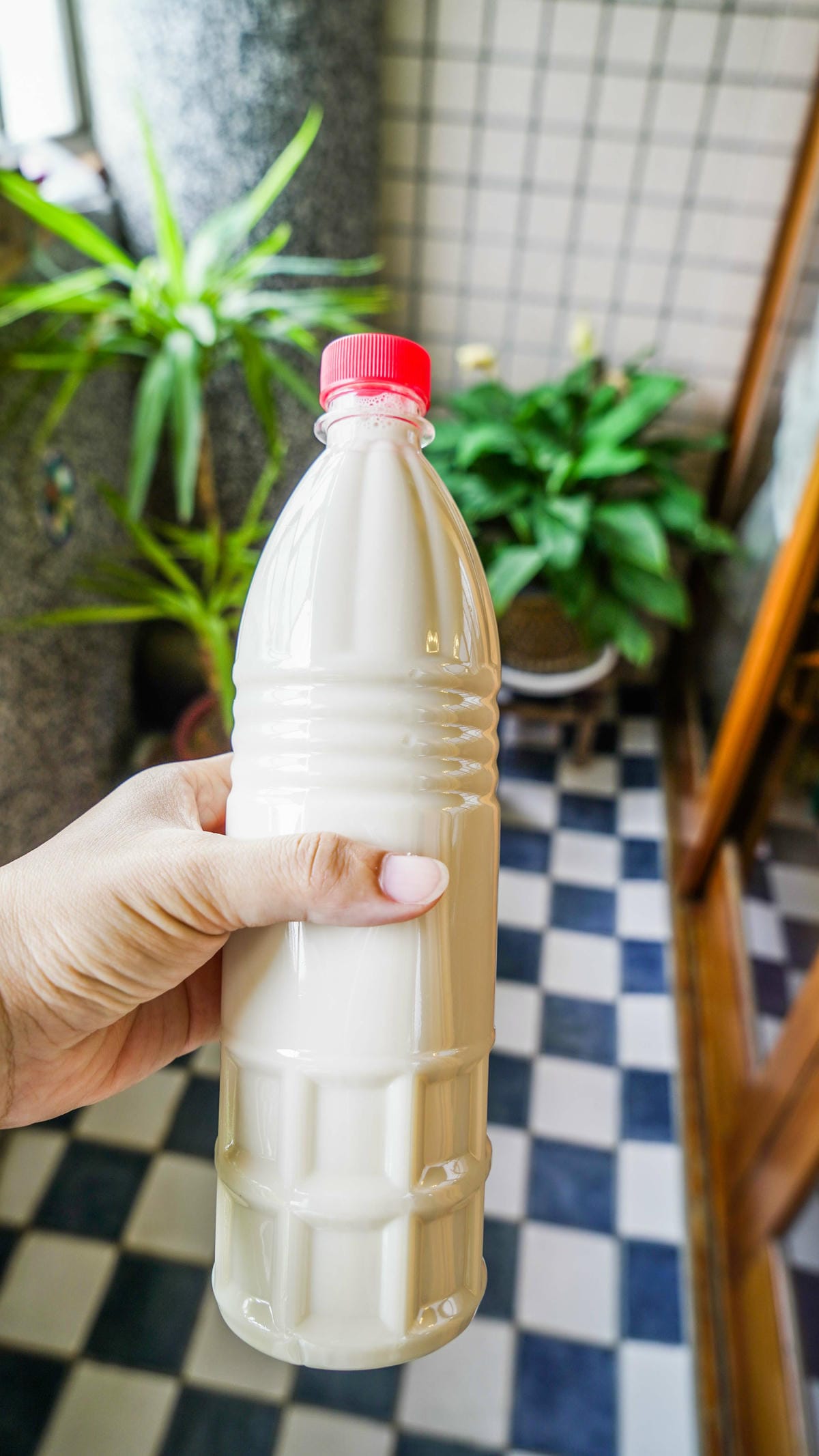 A7_02494.jpg A7_02494.jpg