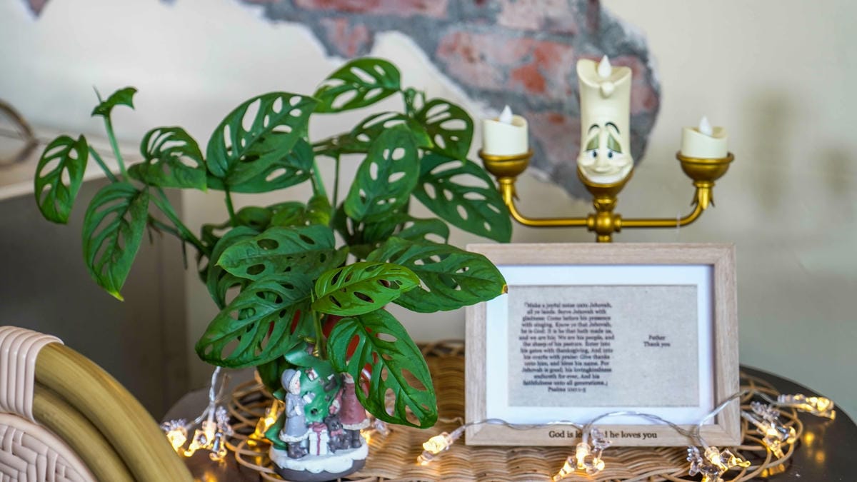 A7_03335.jpg A7_03335.jpg