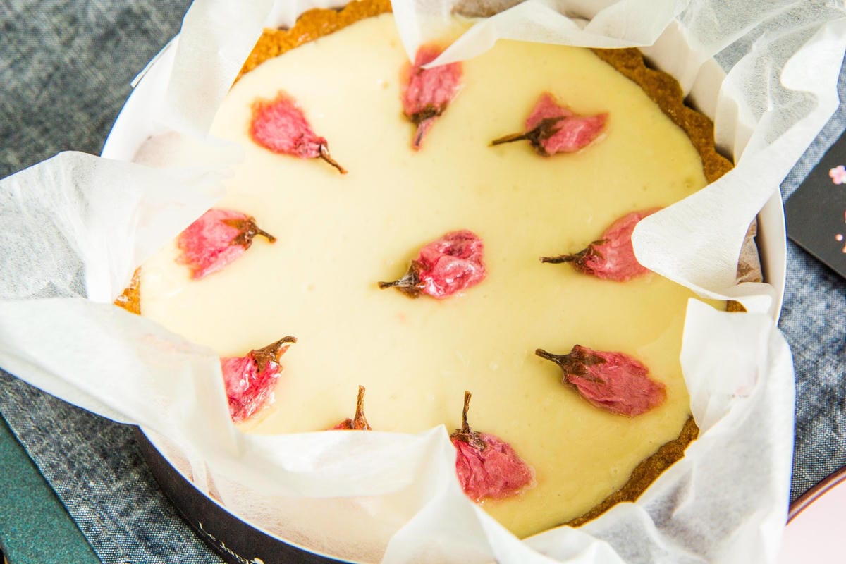 IMG_3859 (Copy).jpg IMG_3859 (Copy).jpg