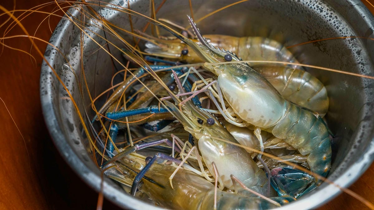 A7_06433.jpg A7_06433.jpg