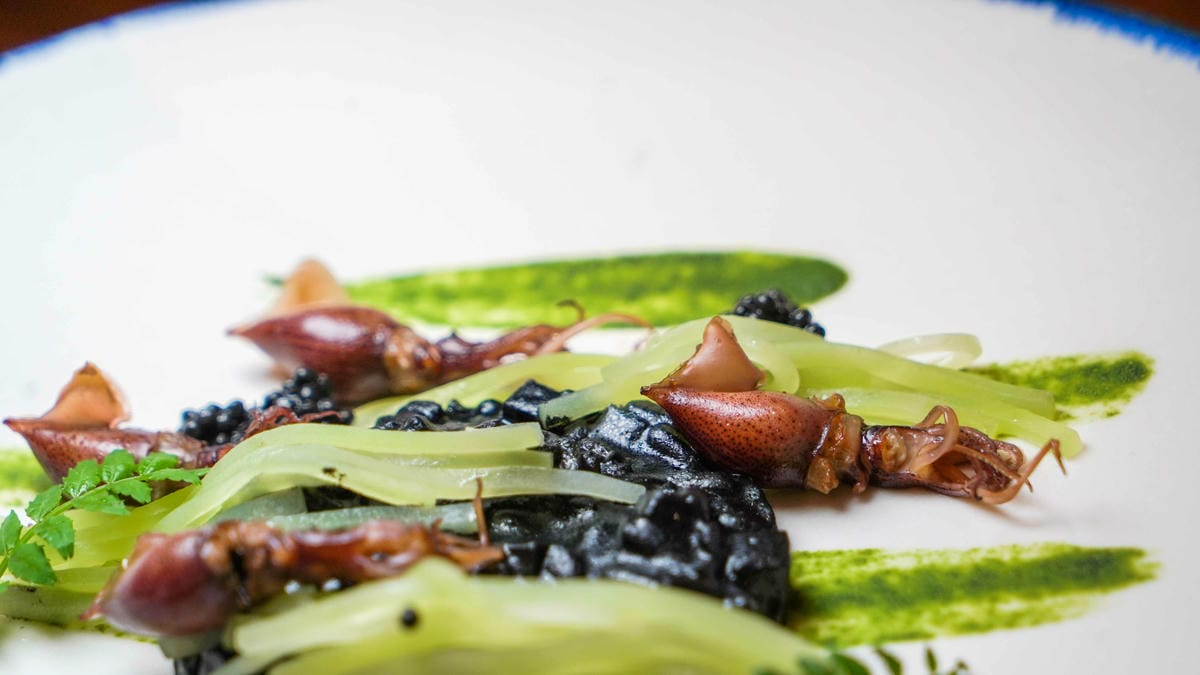 A7_02432.jpg A7_02432.jpg