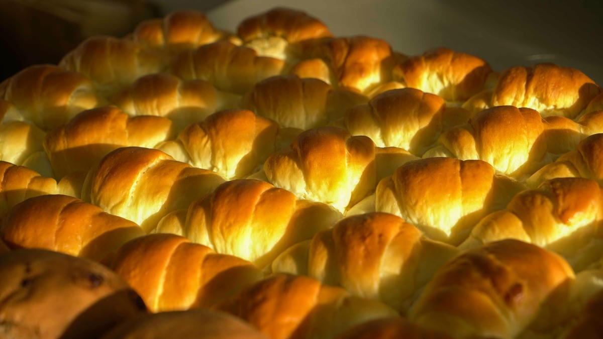 A7_08245.jpg A7_08245.jpg