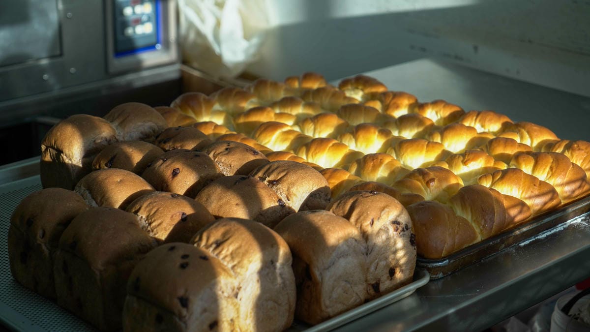 A7_08243.jpg A7_08243.jpg