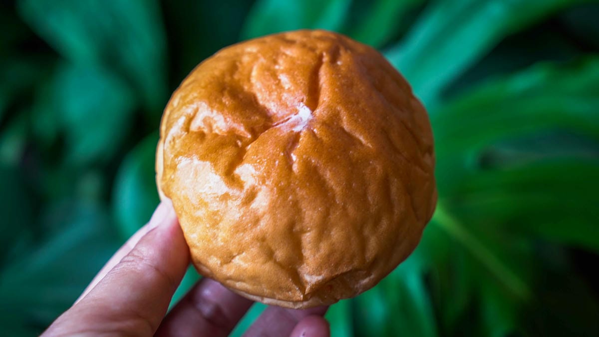 A7_08270.jpg A7_08270.jpg