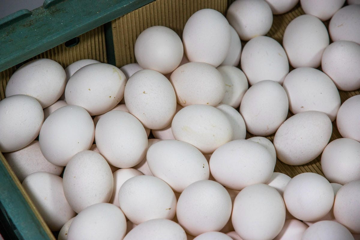 IMG_6026.JPG IMG_6026.JPG