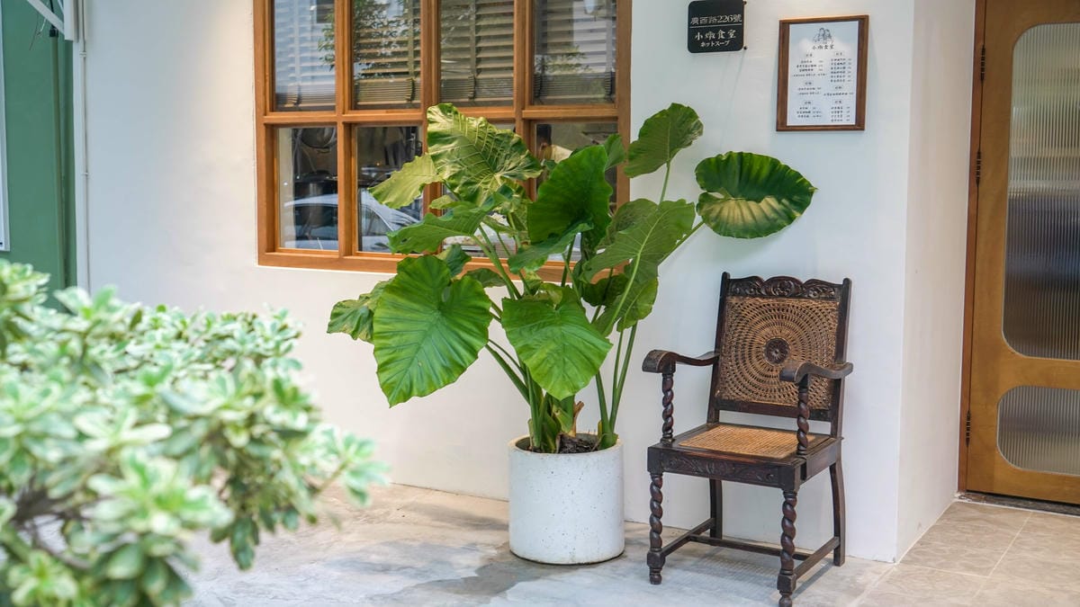 A7_03770.jpg A7_03770.jpg