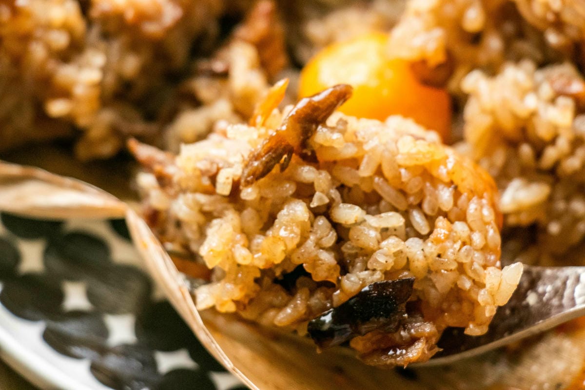 IMG_5987.jpg IMG_5987.jpg