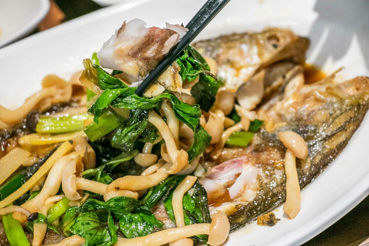 IMG_9773.jpg IMG_9773.jpg