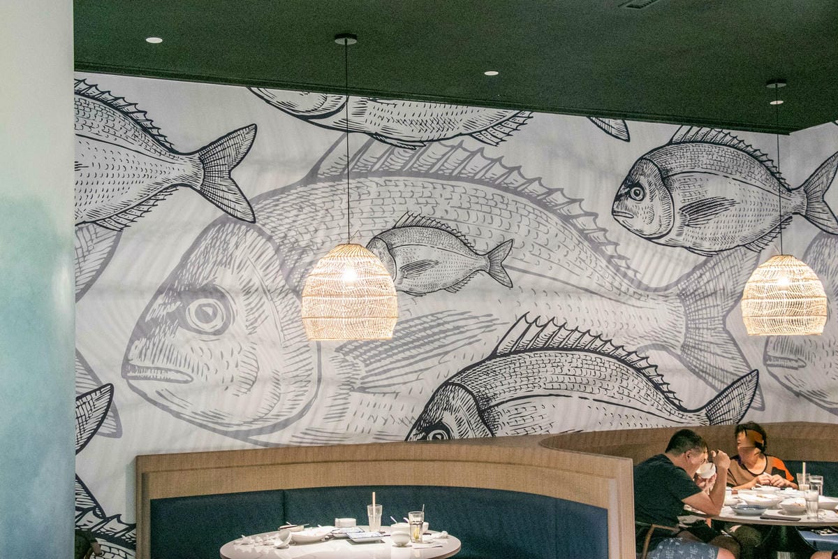 IMG_9784.jpg IMG_9784.jpg