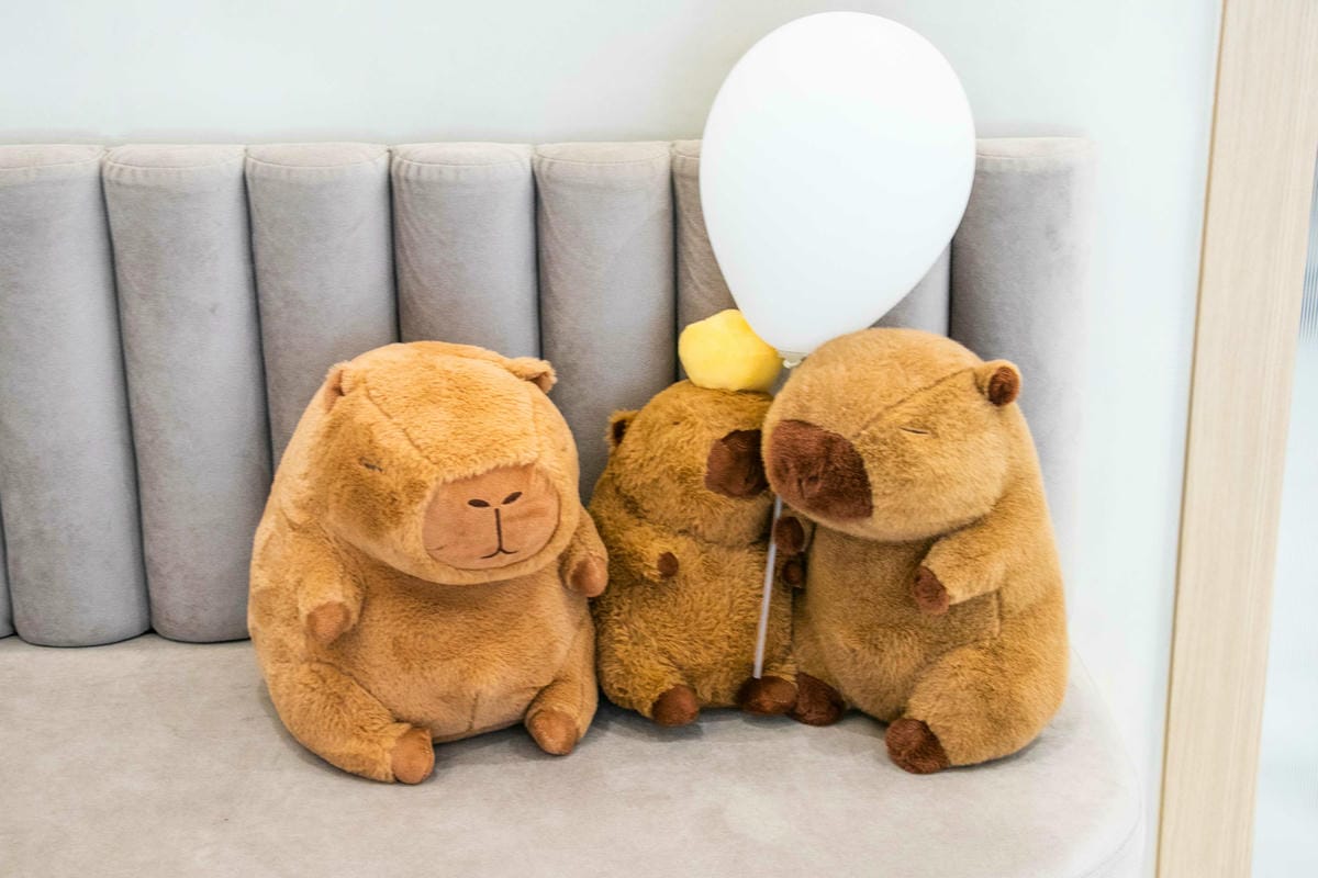 IMG_0513.jpg IMG_0513.jpg