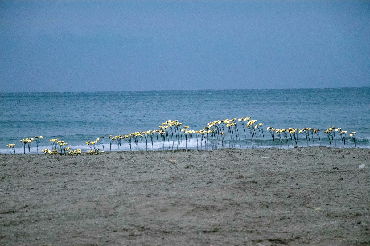 IMG_8912.jpg IMG_8912.jpg