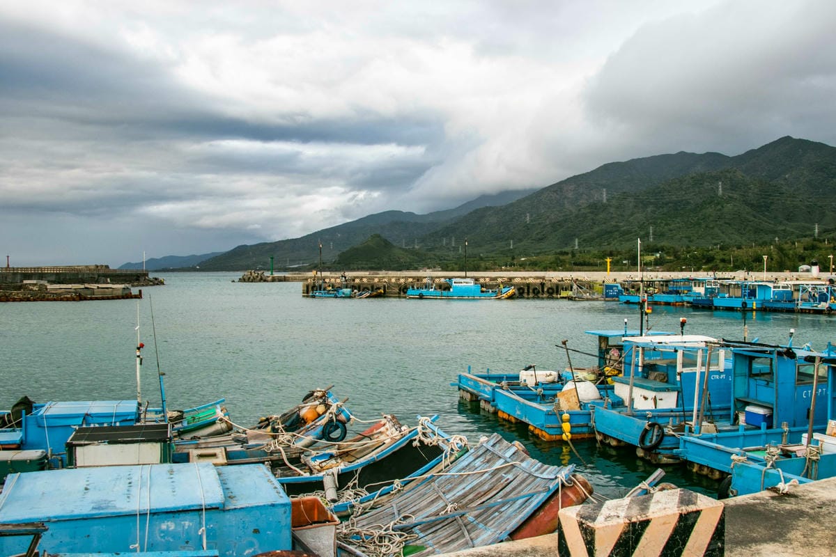 IMG_8884.jpg IMG_8884.jpg