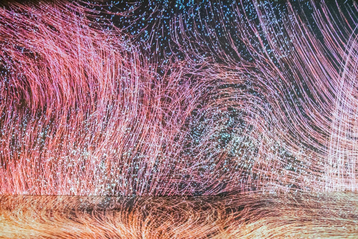 IMG_8892.jpg IMG_8892.jpg