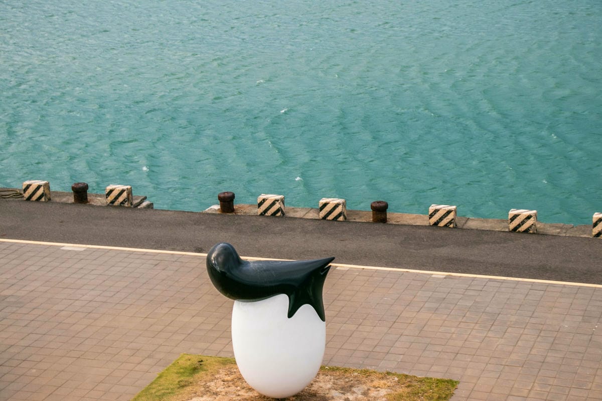 IMG_8900.jpg IMG_8900.jpg