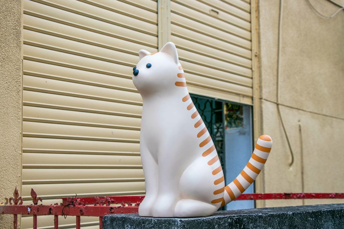 IMG_8856.jpg IMG_8856.jpg