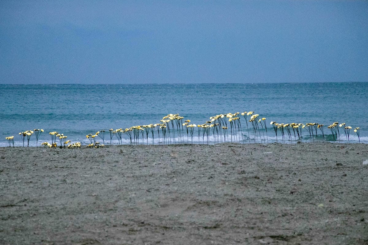 IMG_8913.jpg IMG_8913.jpg