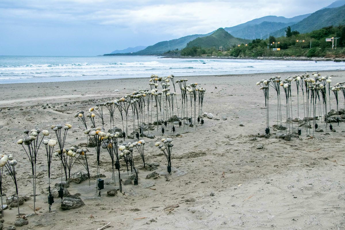 IMG_8909.jpg IMG_8909.jpg