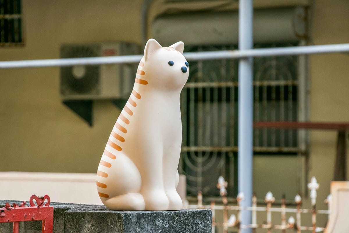 IMG_8878.jpg IMG_8878.jpg