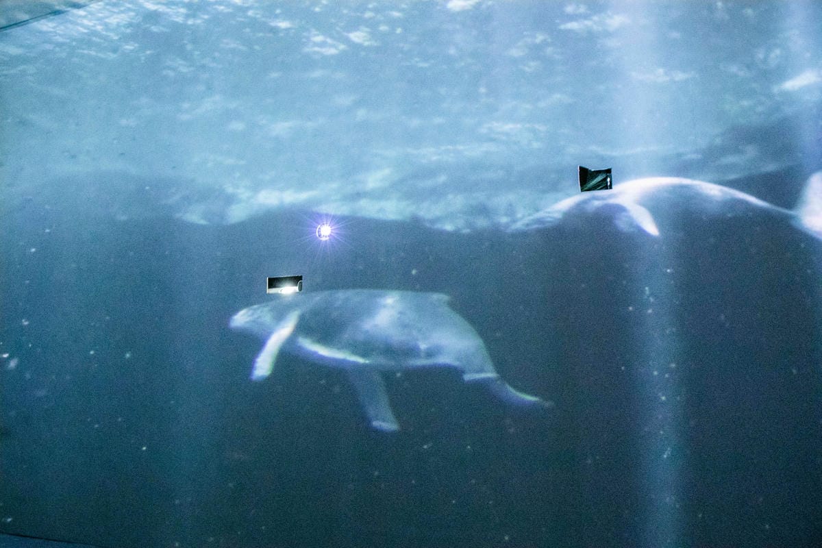 IMG_8896.jpg IMG_8896.jpg