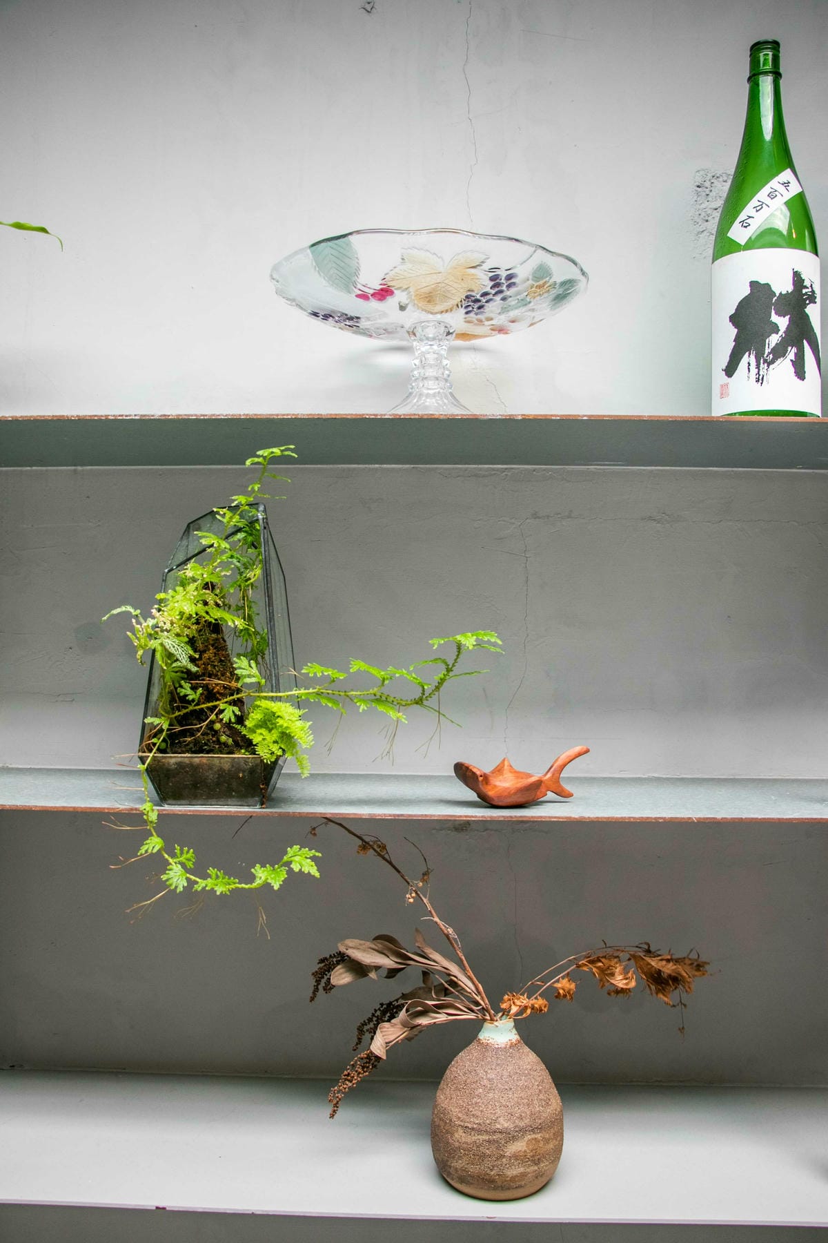 IMG_7651.jpg IMG_7651.jpg