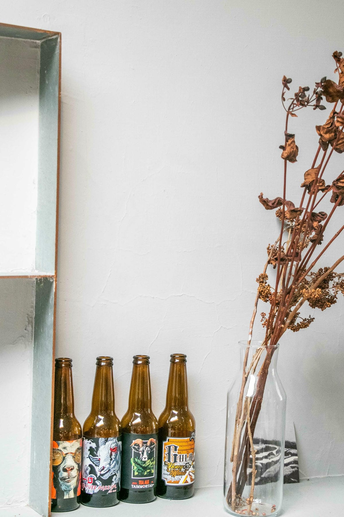 IMG_7653.jpg IMG_7653.jpg