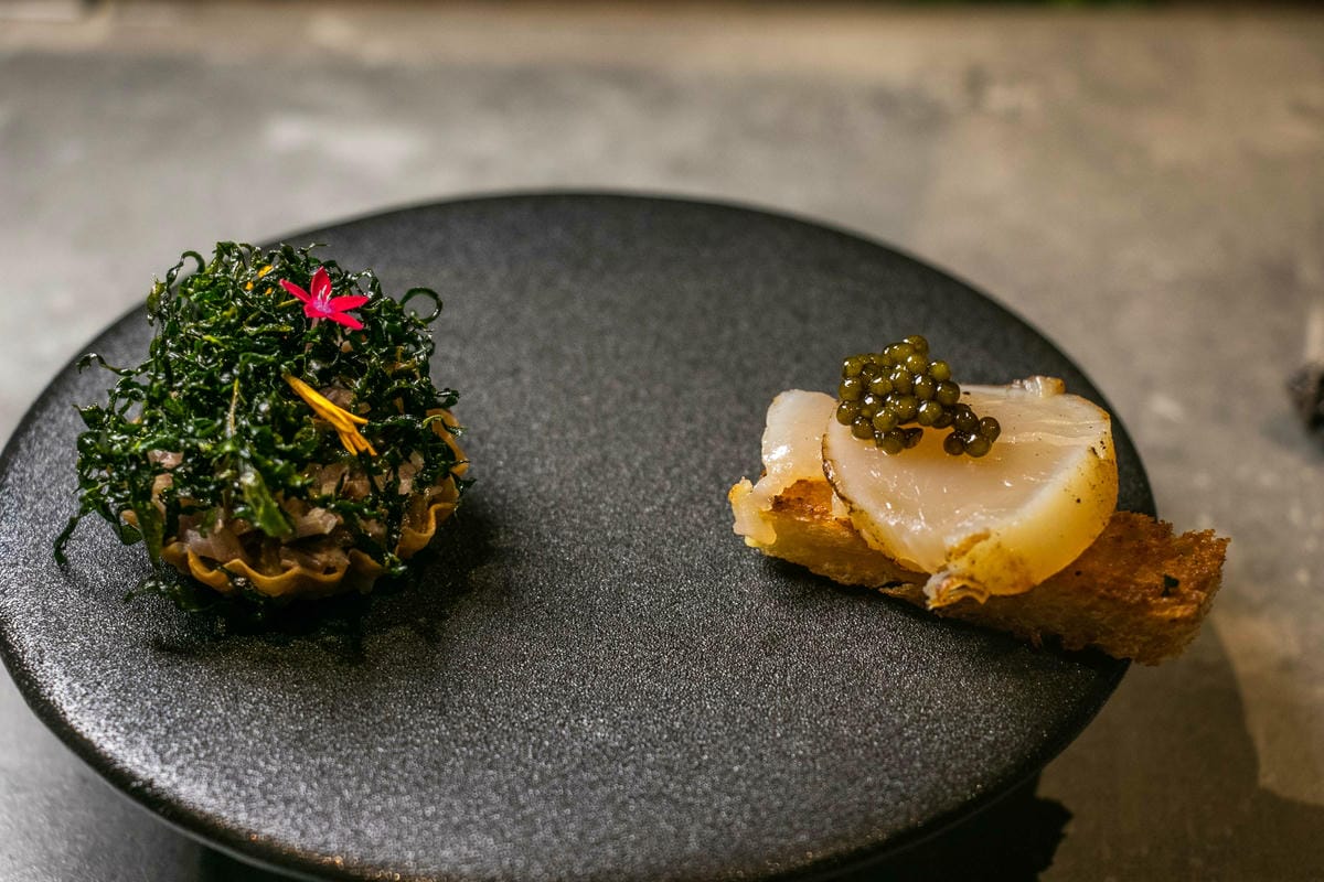 IMG_7678.jpg IMG_7678.jpg