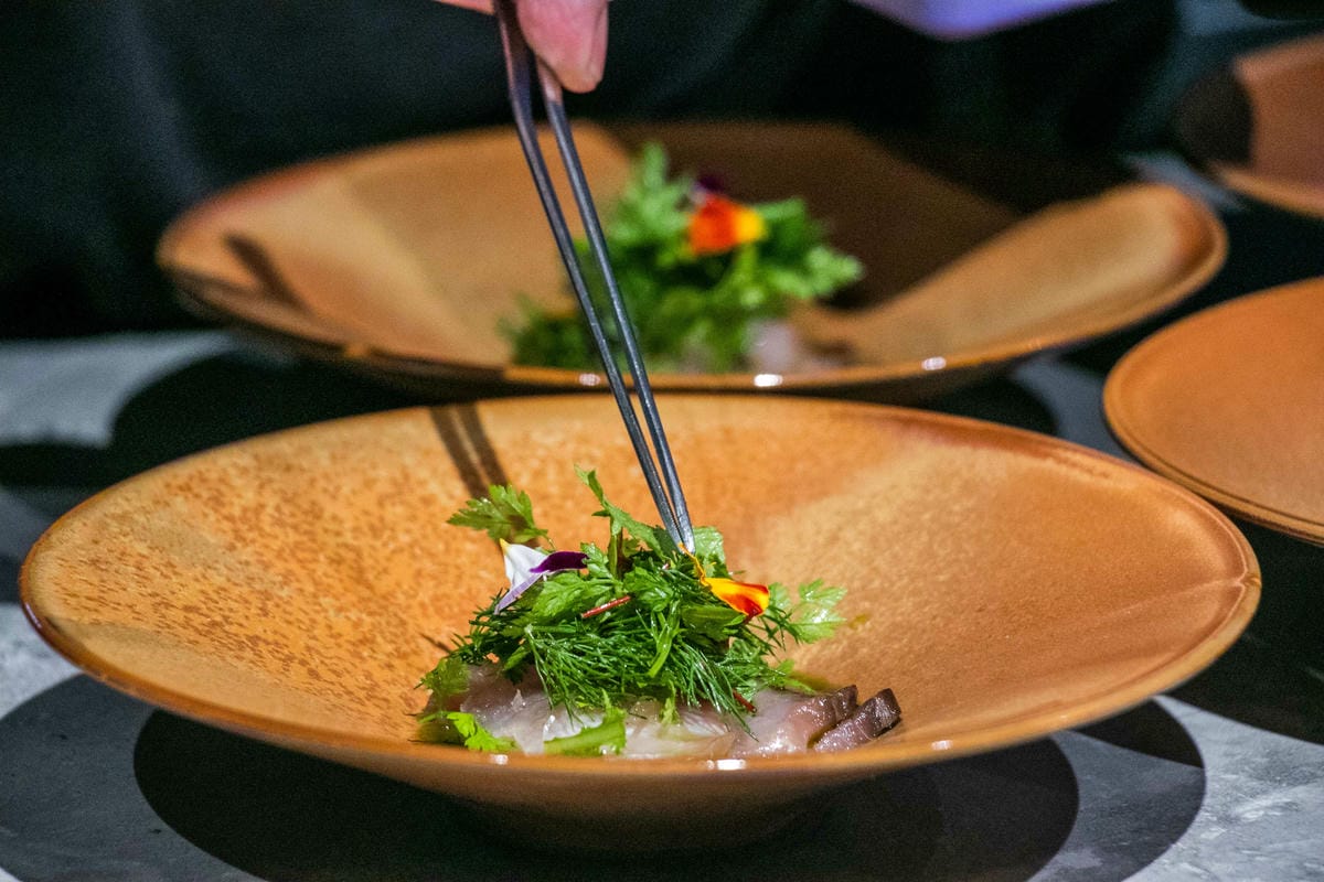 IMG_7687.jpg IMG_7687.jpg