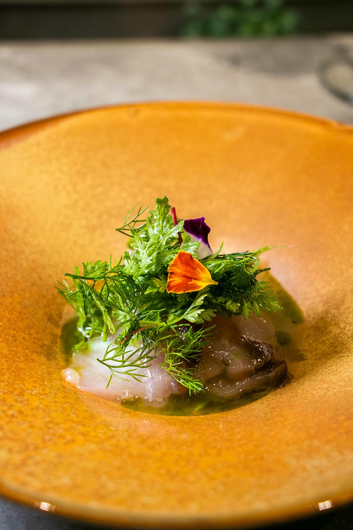 IMG_7692.jpg IMG_7692.jpg