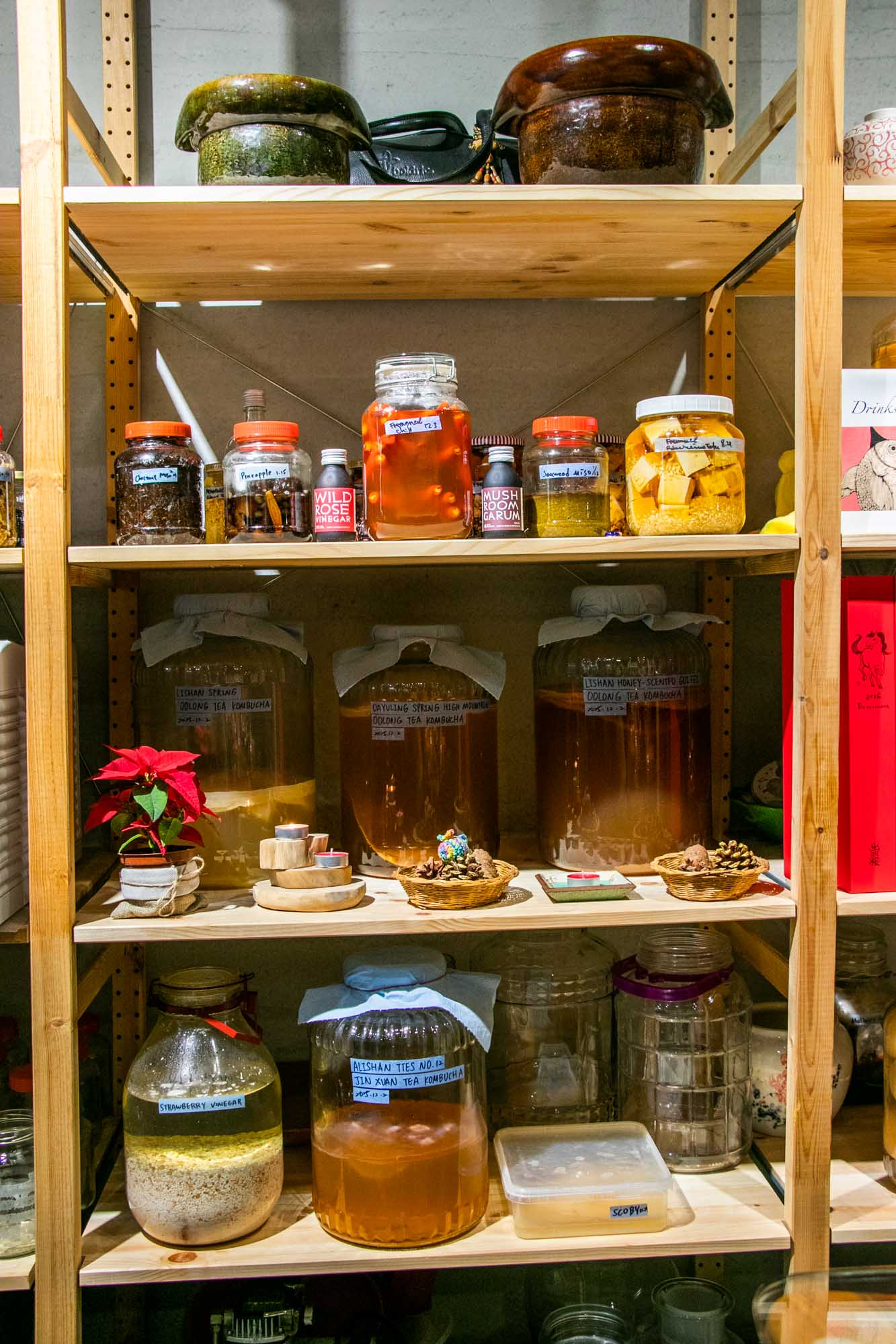 高雄米其林 Anchovy鯷魚餐廳  鯷魚耶誕城 Marry Fishmas 2025